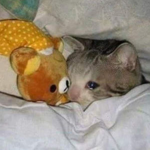 Meet your Posher, Margaret